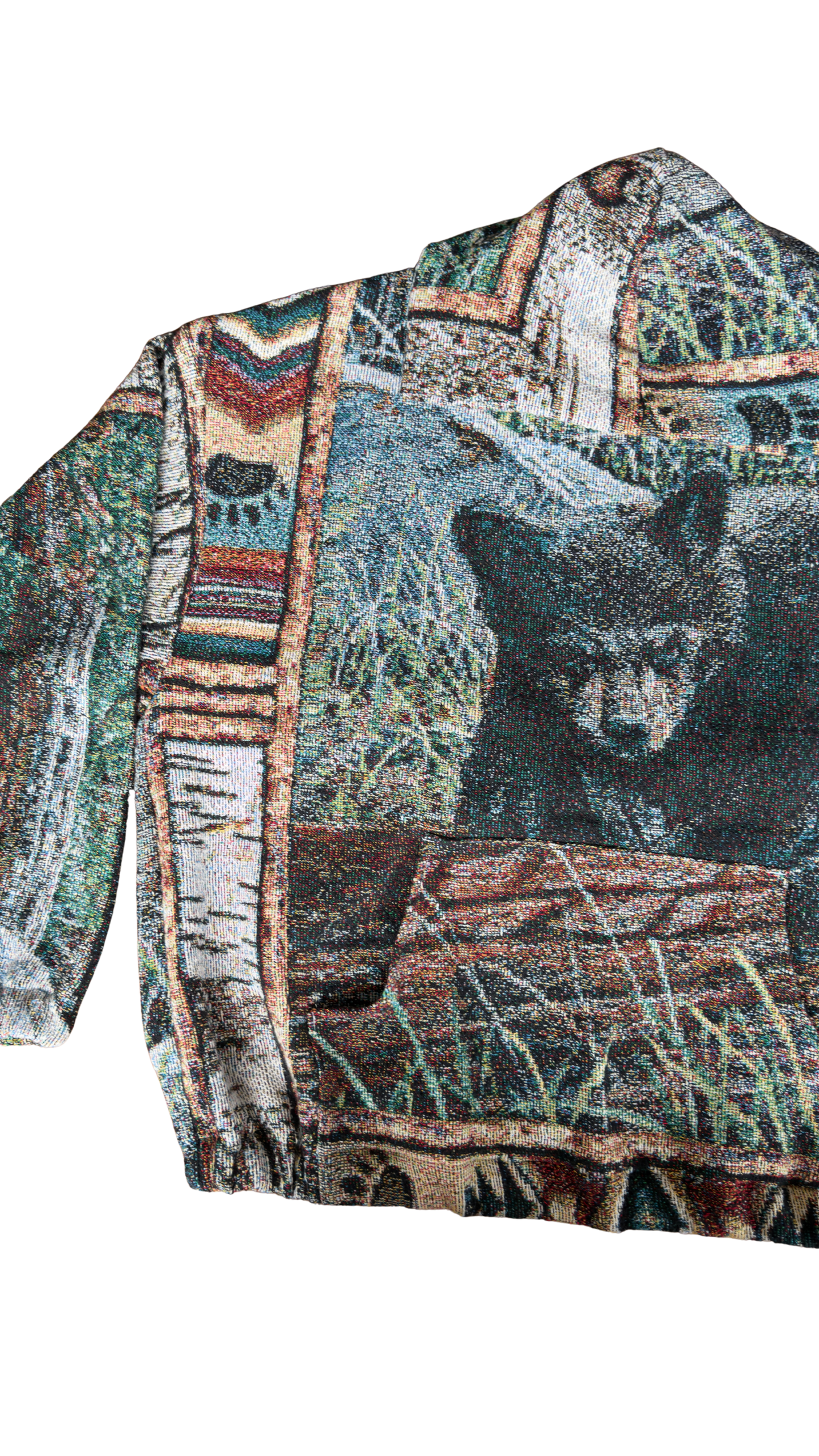 Brother Bear Hoodie