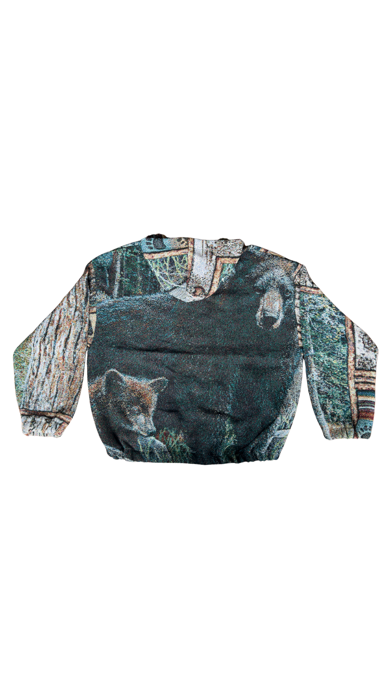 Brother Bear Hoodie