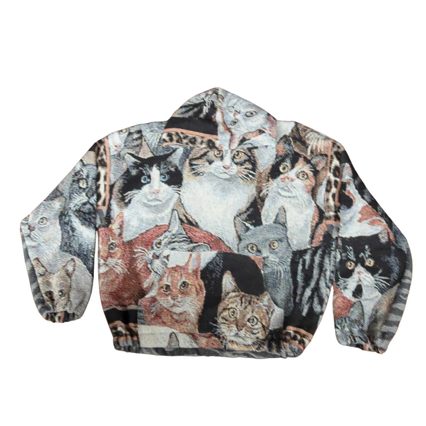 Crazy Cat Lady Hoodie