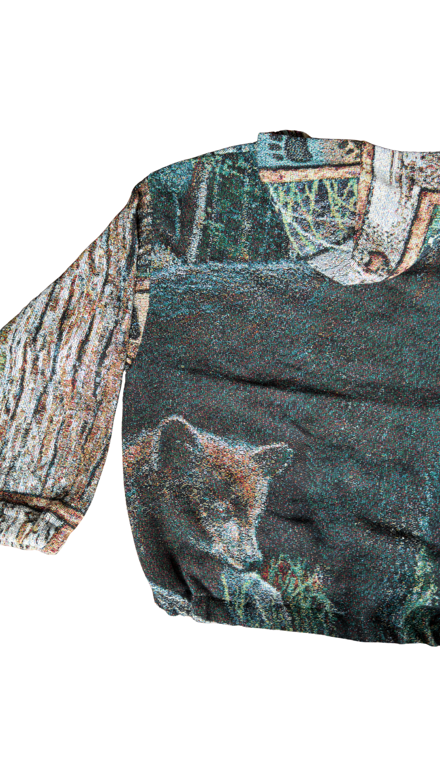 Brother Bear Hoodie